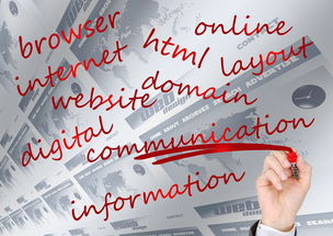 九游娱乐在线-体育赛事品牌建设中的用户参与机制，体育赛事品牌打造